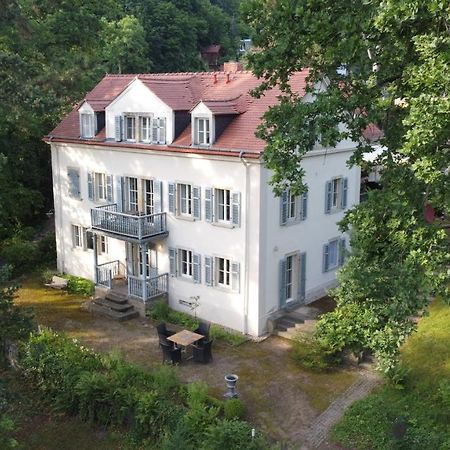 Villa Im Park Wachwitzgrund Δρέσδη Εξωτερικό φωτογραφία