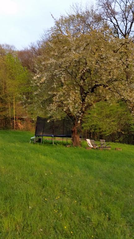 Villa Im Park Wachwitzgrund Δρέσδη Εξωτερικό φωτογραφία