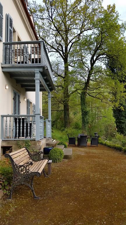 Villa Im Park Wachwitzgrund Δρέσδη Εξωτερικό φωτογραφία